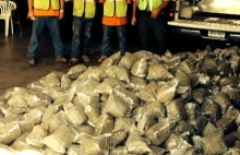 Więźniowie znaleźli prawie 350 kg marihuany podczas sprzątania dróg