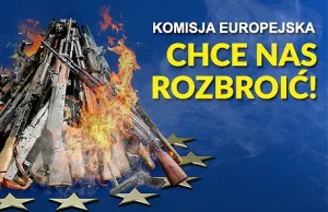 Nie pozwólmy Komisji Europejskiej rozbroić Europejczyków!