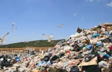 Zalały nas śmieci z Afryki! Szokujące dane