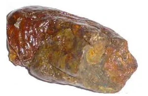 Propolis - kit pszczeli.