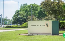 Porażka Monsanto w Sądzie Najwyższym w USA.