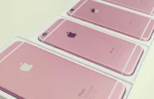 Różowy iPhone 6s na pierwszych zdjęciach