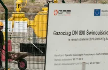 Niemcy skorzystają z naszego terminala LNG?