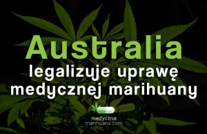 Australia legalizuje uprawę marihuany do celów medycznych