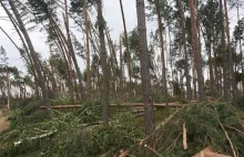 Tragedia na obozie harcerskim w Suszku. Meteorolodzy usłyszeli zarzuty