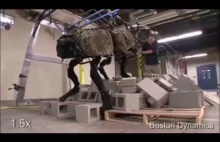 Rożne prototypy od Boston Dynamics