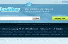 Blokada Twittera w Niemczech. Konto neonazistów zamknięte