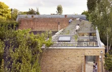 W Londynie powstają domy z ogrodem na dachu