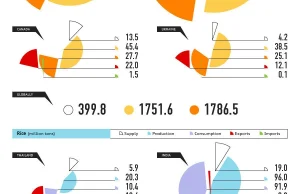 Infografika o rynku zbóż na świecie