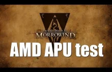 Morrowind na zintegrowanej grafice AMD