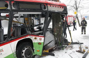 Lublin: Autobus uderzył w drzewo. Siedem osób rannych (wideo, NOWE...
