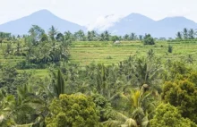 Tam mieszkam: Bali. Mieszkać w raju - da się!