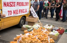 Rolnicy protestują w stolicy podczas gdy w mediach jest tylko pyton nad Wisłą.