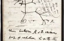 Notatki Darwina i Einsteina dostępne w sieci - Crazy Nauka