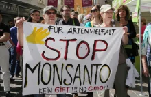 Bayer może nie kupić Monsanto. KE staje na drodze rekordowego przejęcia.