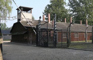 3 lata więzienia za określenie "polskie obozy koncentracyjne"? Projektem...