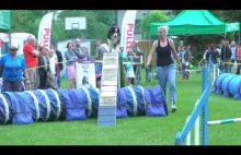 Agility -Lolo Pets Classic Cup- Competition in Poland # 20