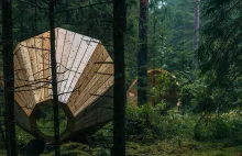 Estonian Students Build Giant Wooden Megaphones To Listen To The Forest