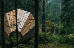 Estonian Students Build Giant Wooden Megaphones To Listen To The Forest