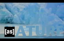 Nature | Off the Air | Adult Swim