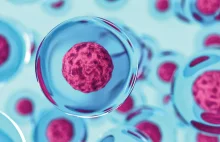 Śledztwo „Polityki”: Złudne terapie komórkami macierzystymi
