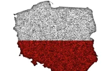 Cała Polska specjalną strefą ekonomiczną