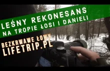Leśny Rekonesans - Na tropie Łosi i Danieli