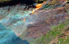 Potęgę pożaru w Kalifornii z kosmosu – Monitoring Bezpieczeństwa Ziemi