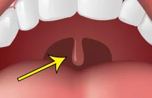 Do czego służy nam uvula? To ten języczek znajdujący się z tyłu