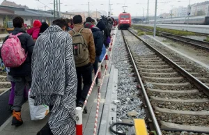 Tajne porozumienie niemiec i turcji - sprowadzenie 500.000 nowych najeźdźców...