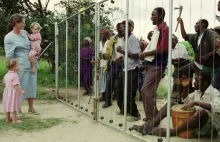 Zimbabwe: Konfiskaty gospodarstw białym farmerom = spadek PKB o połowę