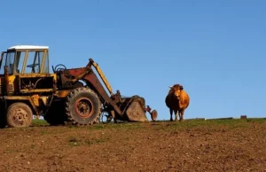 Cudzoziemcy nie będą mogli kupować polskiej ziemi?