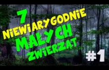 7 Niewiarygodnie małych zwierząt! #1