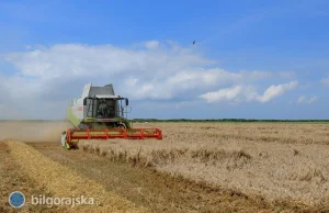 Rolnicy wyłudzili 2 mln zł z placówki KRUS Biłgoraj
