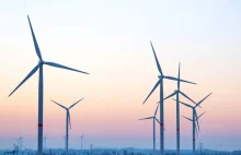 Tauron kupi pięć farm wiatrowych. Wynegocjowana cena to 137 mln euro