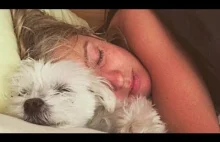 Dogs Want to Sleep With Owner Compilation NEW