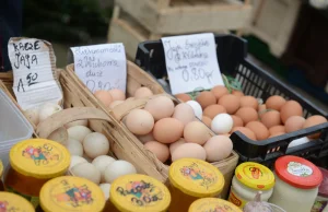 Skażone jaja trafiły do sklepów Biedronka i Carrefour. Nie wolno ich jeść.