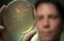Odkryto ponad 100 nowych bakterii w ludzkim mikrobiomie