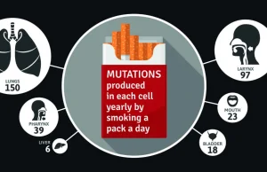 Paląc 20 fajek dziennie, w każdej komórce płuc dochodzi do 150 mutacji DNA [EN]
