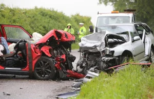 Na polskich drogach trup ściele się gęsto, bo Polacy posiadają… auta