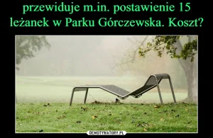 Warszawa postawi 15 leżanek w Parku Górczewska. Kosz to „zaledwie” 156k PLN