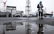 Właściciele reaktora w Fukushimie wypuszczą skażoną wodę do oceanu