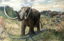 Co nam mówią zęby wymarłych krewniaków słoni?