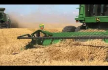 Grain Harvest in Alberta