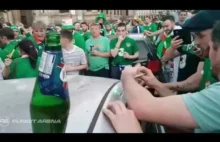 Ireland fans dent the roof of a French car, fix it straight away