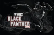 Who Is Back Panther? History and Power Back Panther - Secret T'Challa -...
