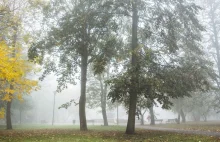 Zdjęcia we mgle.. - Pyskowice (część 1
