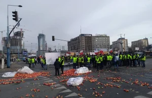 Jak manipulować opinią publiczną – Opublikowano zdjęcia protestujących rolników