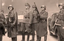 Członkowie i wolontariusze Waffen-SS: Holendrzy - 50 tys., Belgowie - 40...