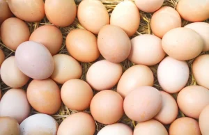 Jakie produkty kupić na święta? Sprawdź, czy wiesz, że te jajka są...